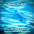 Beach Sounds, Nature Sounds, Ocean Sounds
