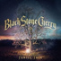 Black Stone Cherry, Warren Haynes