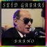 Seid Gabari