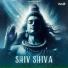 Sonika Sharma Agarwal, Vickky Agarwal