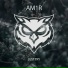 Am1r