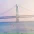 Xpeciay9