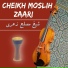 Cheikh Moslih