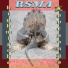 RSMA