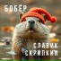 Славик Скрипкин