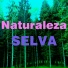 Selva