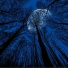 MOONSHI