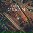 Ask the Ocean