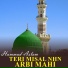 Hammad Aslam