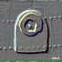 Zheng