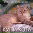 Валерий Сальников
