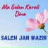 Saleh Jan Wair