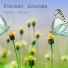 Forest Sounds