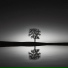 Celestial Alignment