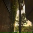 vimef