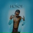 Hosoy