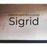 Sigrid feat. kp larsen