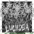 Luciidea