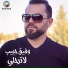وفيق حبيب