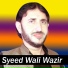 Syeed Wali Wazi