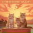 Cats Music Zone