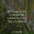 Ambiente, Meditación Maestro, Masajes Spas