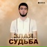 Дамир Гошоков