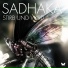 Sadhaka feat. BRT feat. BRT