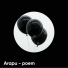 Arapu