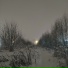 WHITEFE8RUARY