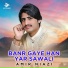 Amir Niazi