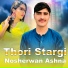 Nosherwan Ashna