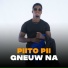 Piito Pii
