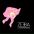 Zeeba