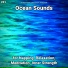Sea Waves Sounds, Nature Sounds, Ocean Sounds