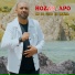 Hozan Apo