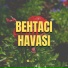 Teymur Borçalı