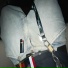 joloswagboy