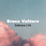 Brace Vulture
