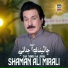 Shaman Ali Mirali