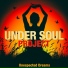 Under Soul Project