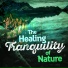The Healing Sounds of Nature