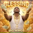 BIG WINGS
