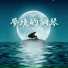 流星鋼琴