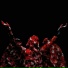 Lovi Case