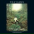 Tony Christie