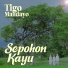 Tigo Mandayo