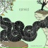 Rainkid