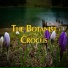 The Botanist