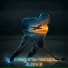 ALEEV.R